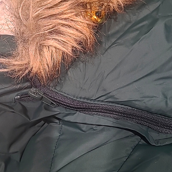 Covington Army Green Winter Jacket - Picture 12 of 13